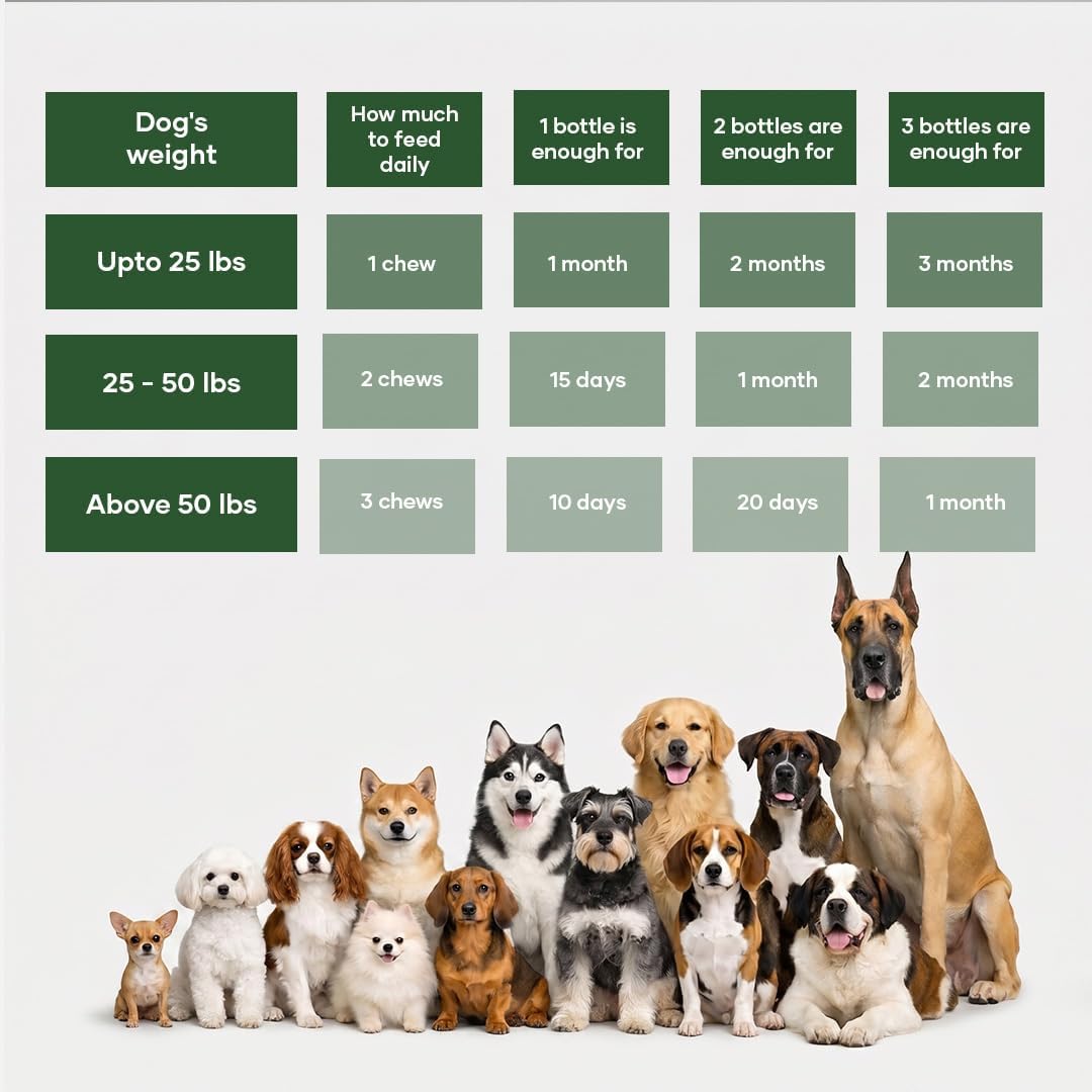 DermaPrex Dog Allergy Chews – Anti Itch for Dogs | Borage Oil, Omega 3