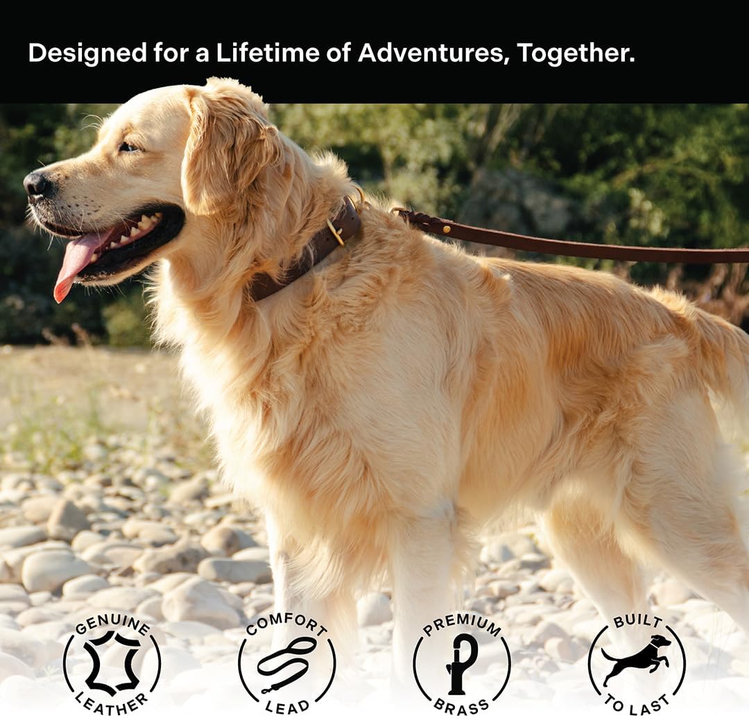 Scout Supply Classic Leather Dog Leash