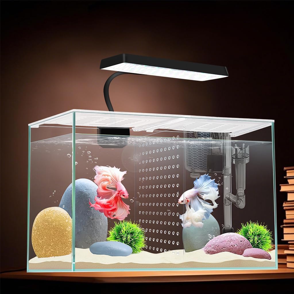 3 Gallon 12.6โ L Fish Nano Glass Aquarium