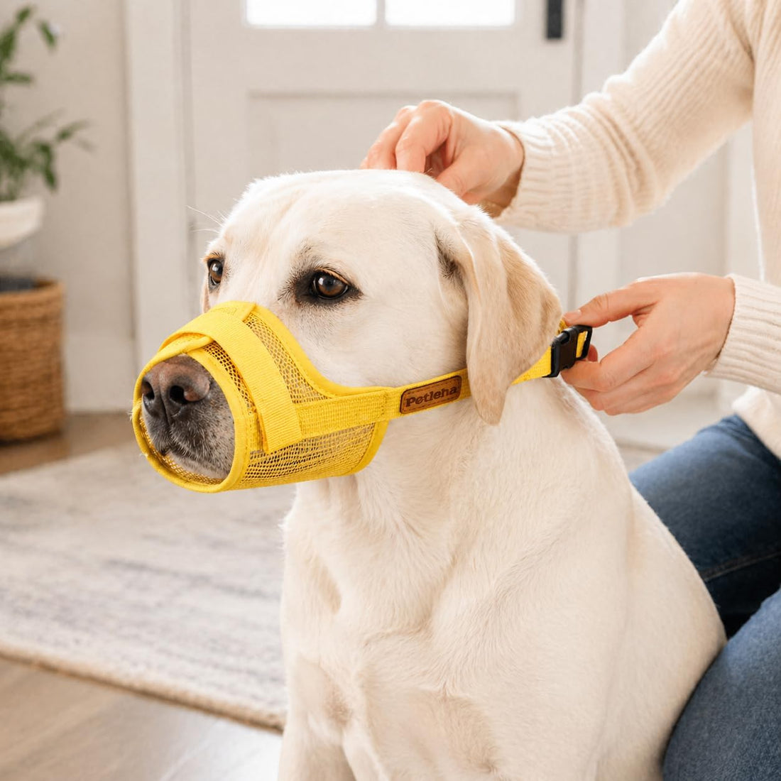 Dog Muzzle, Breathable Mesh for Grooming & Nail Care