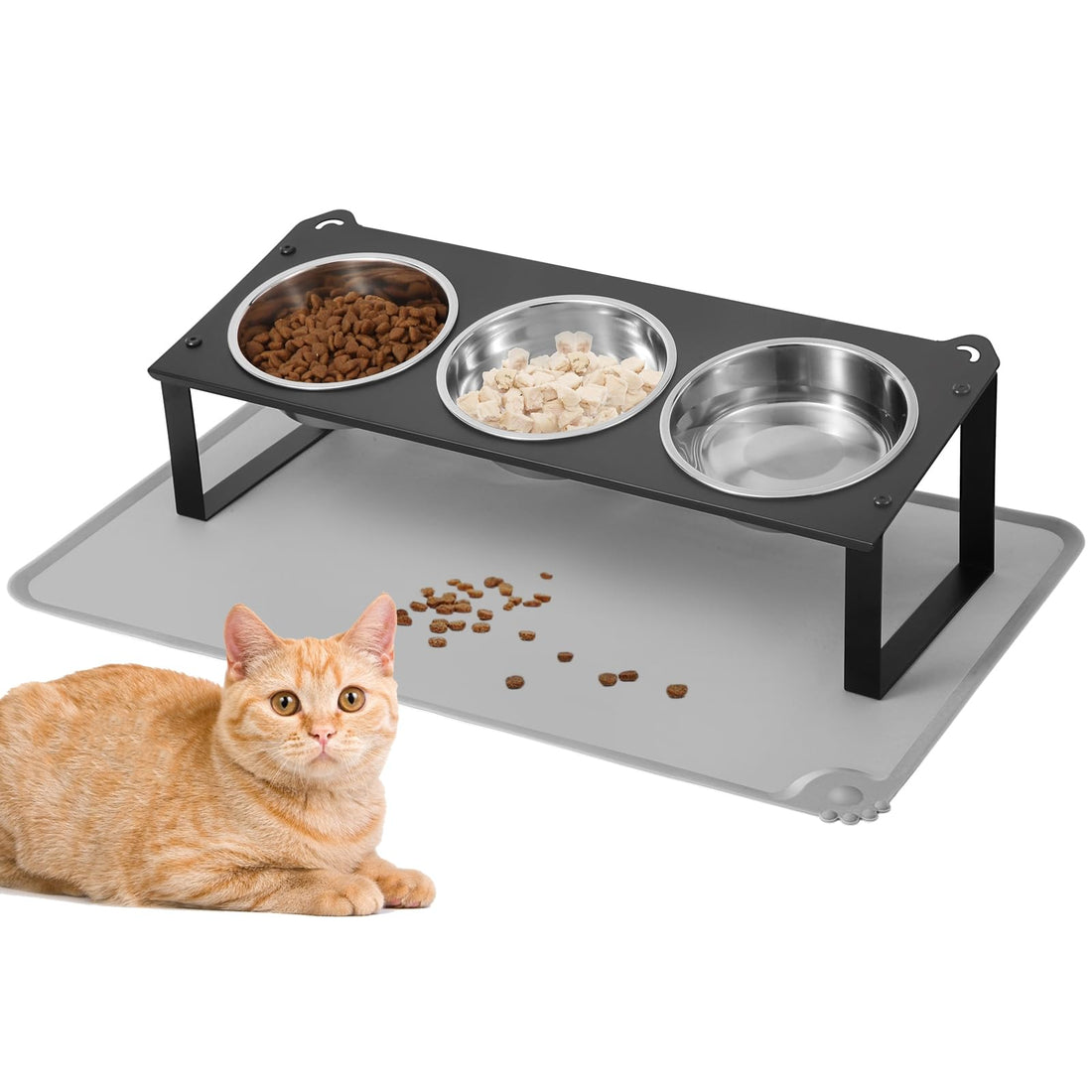 Elevated Cat Bowls with Food Mat