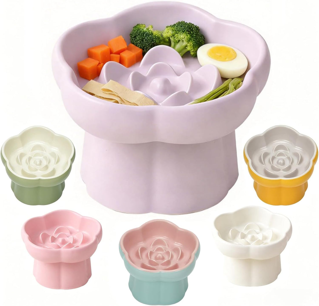 Ceramic Raised Slow Feeder Cat Bowl,Cat Slow Feeder