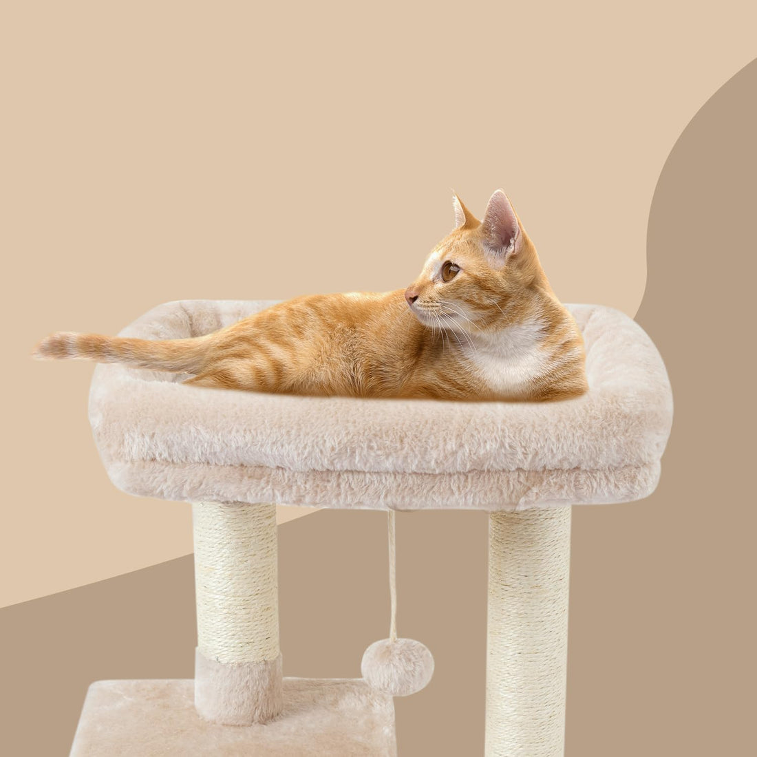 FISH&NAP Cute Cat Tree Kitten Cat Tower for Indoor Cat Condo Sisal