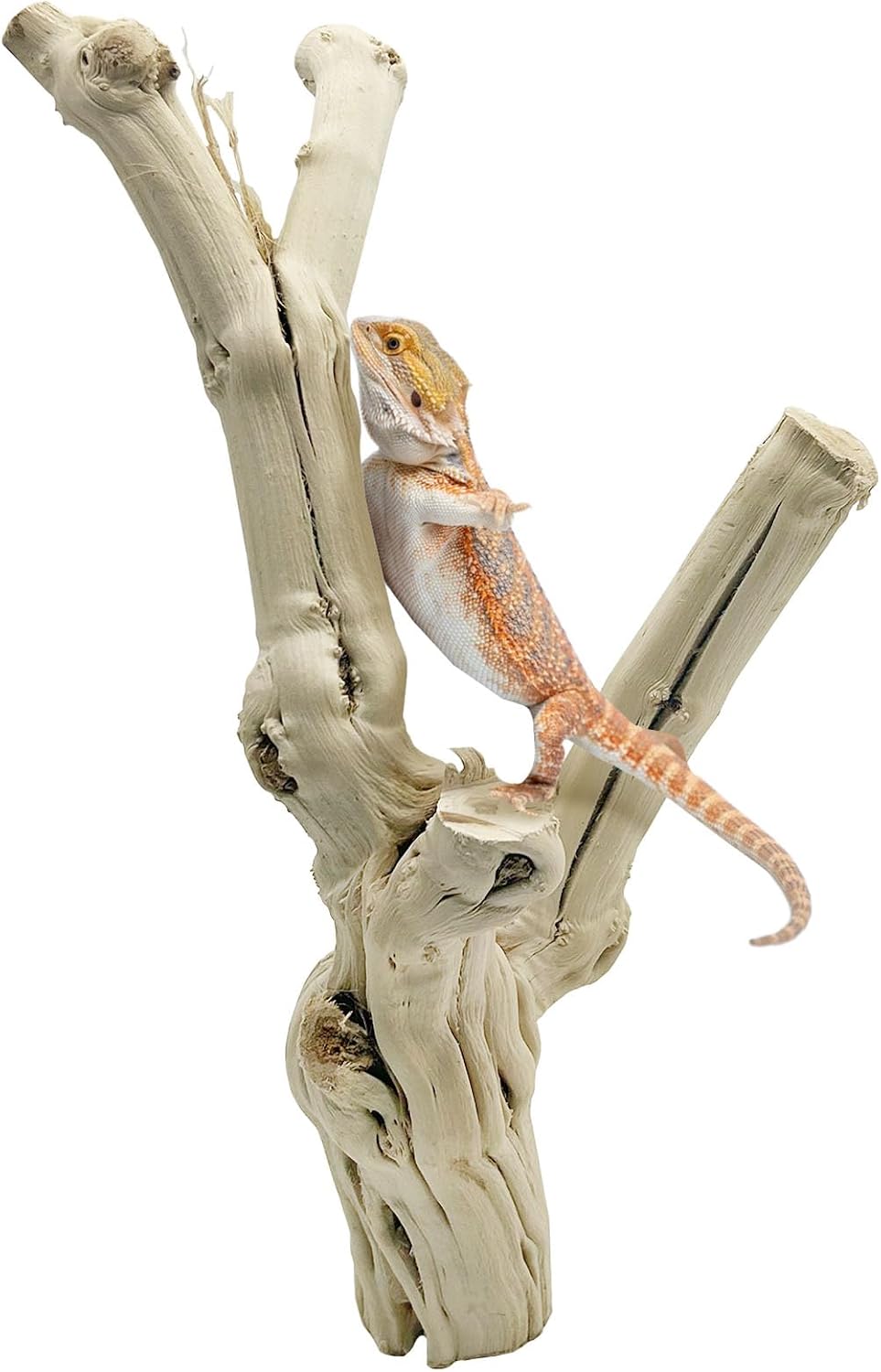 Snake Climbing Branch Wood Enclosure Decor Terrarium Logs
