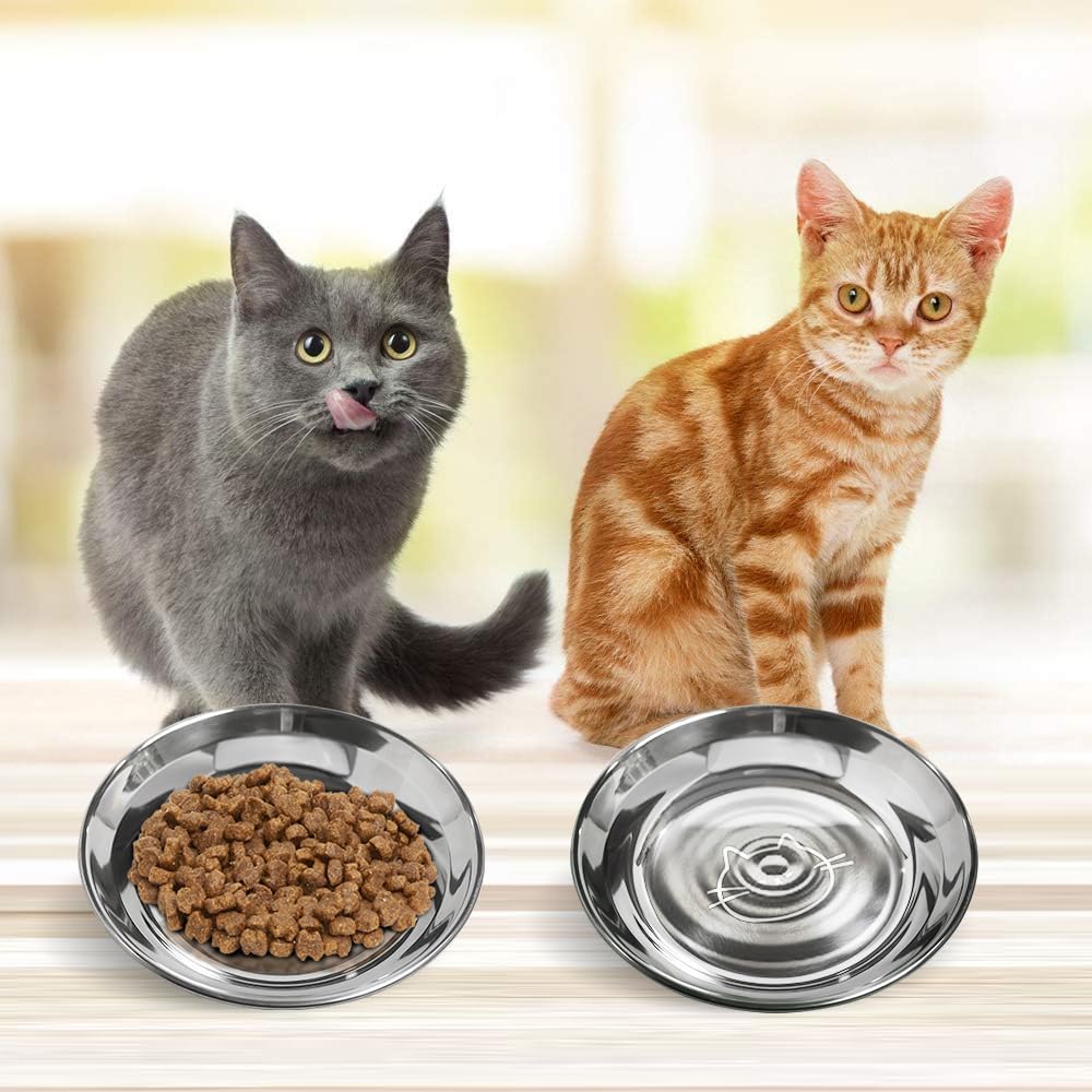 Stainless Steel Cat Bowls Food Dishes for Indoor Cats Cats Shallow