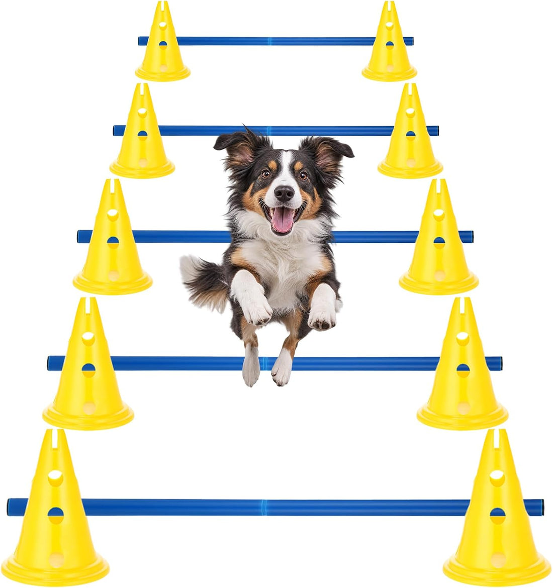 Dog Agility Hurdle Cone Set for Rehabilitation & Beginners
