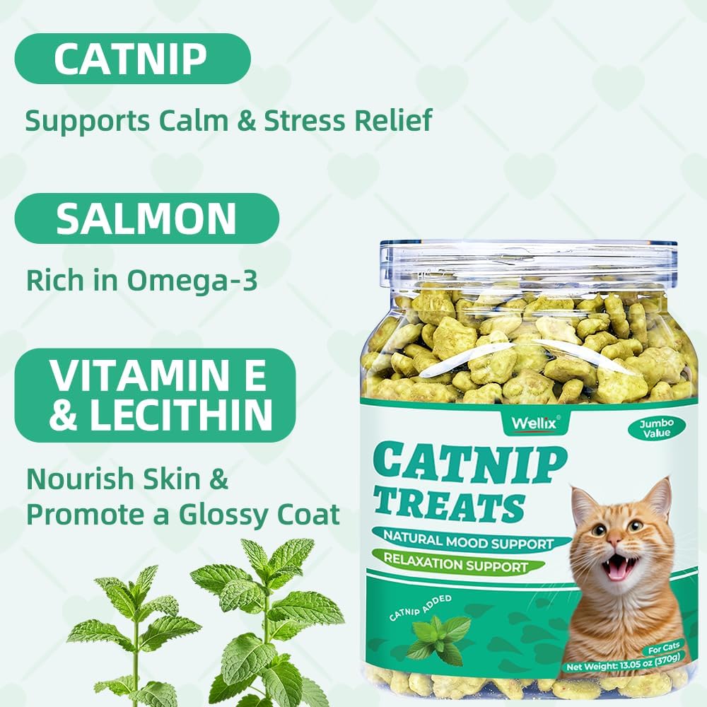 Wellix 13.05 oz Catnip Treats for Cats for Digestive Support