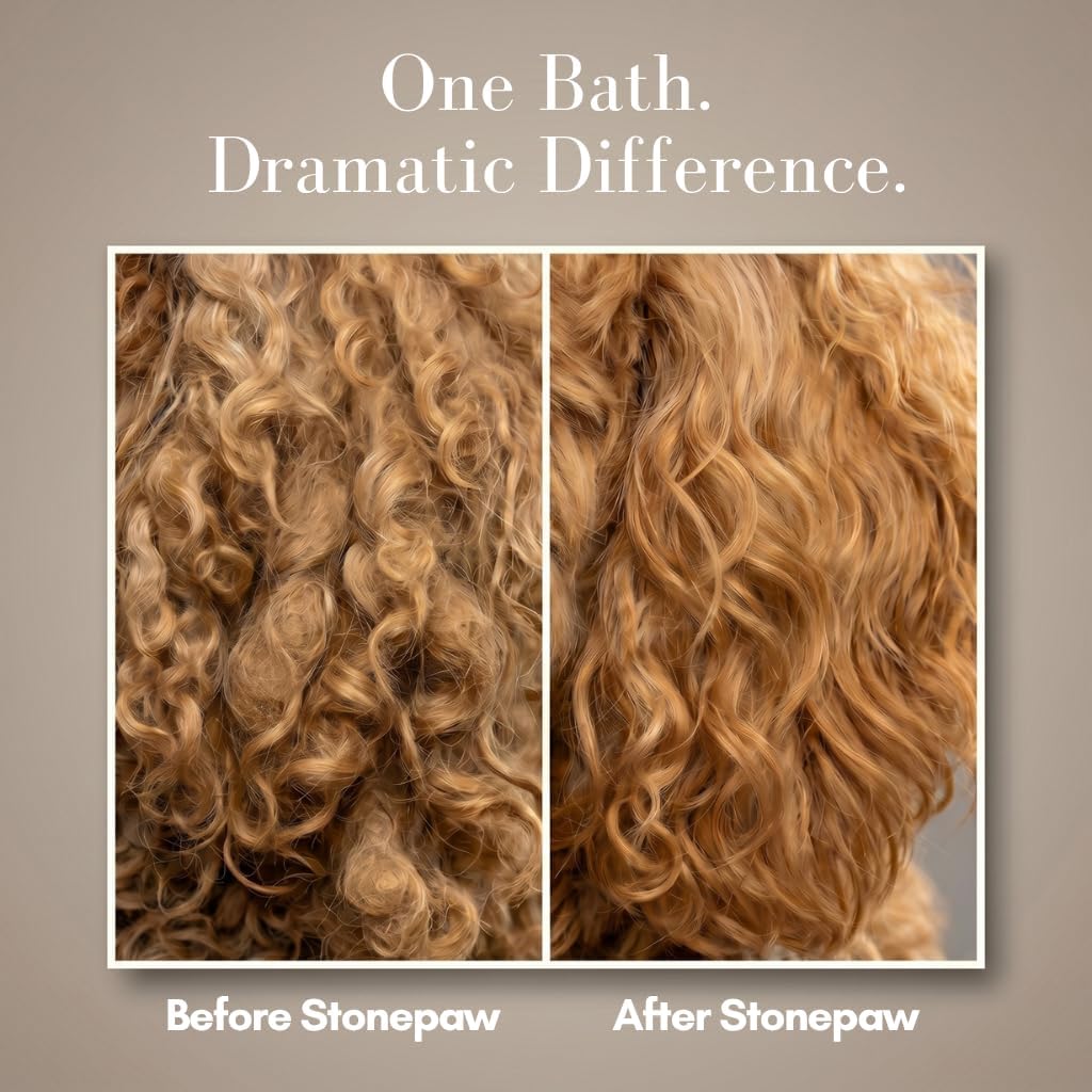 Premium Doodle Shampoo and Conditioner