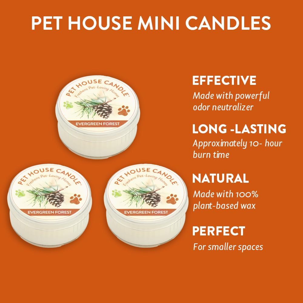 Evergreen Forest Mini Candles Plant-Based Wax, 3 Pack Pet House