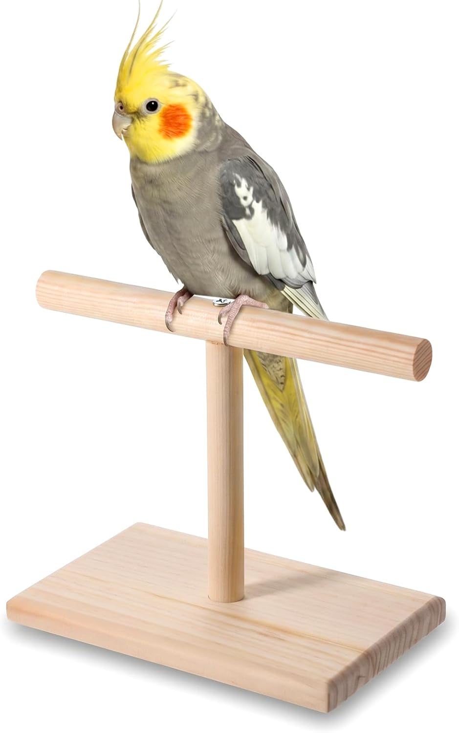 Bird Perch Stand Bird Training Stand Portable Tabletop Parrot Stands