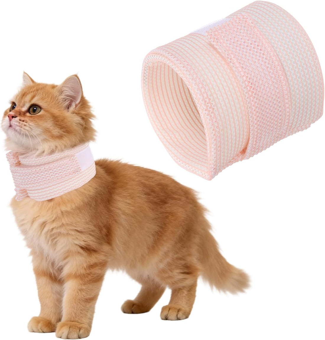 Cat Neck Cone, Recovery Collar (Mesh/M/9.1-11.8"/Blue)