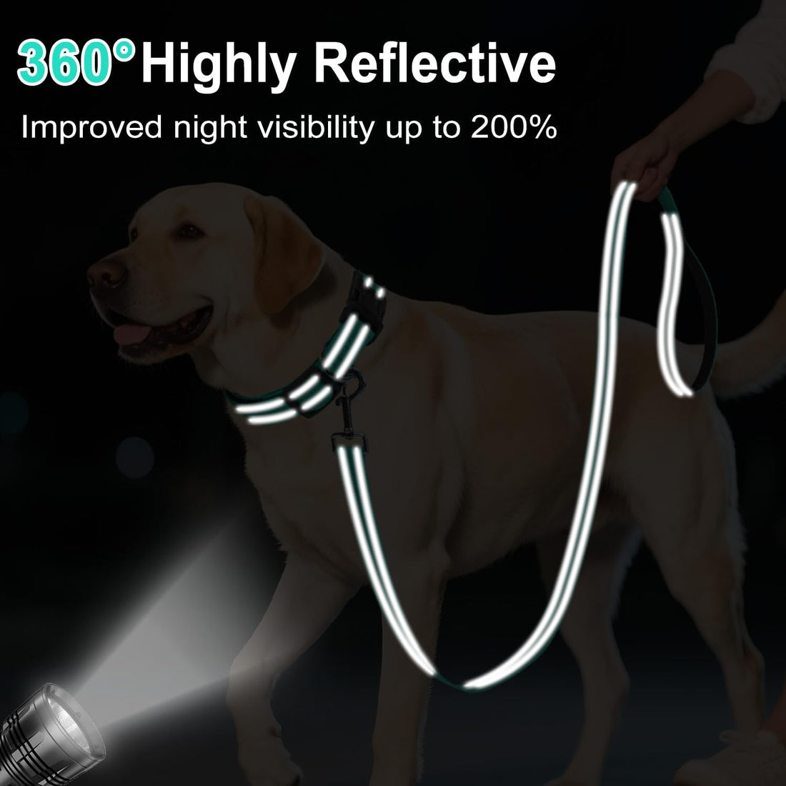 6FT Reflective Dog Leash, Padded Handle for Small Medium Dogs