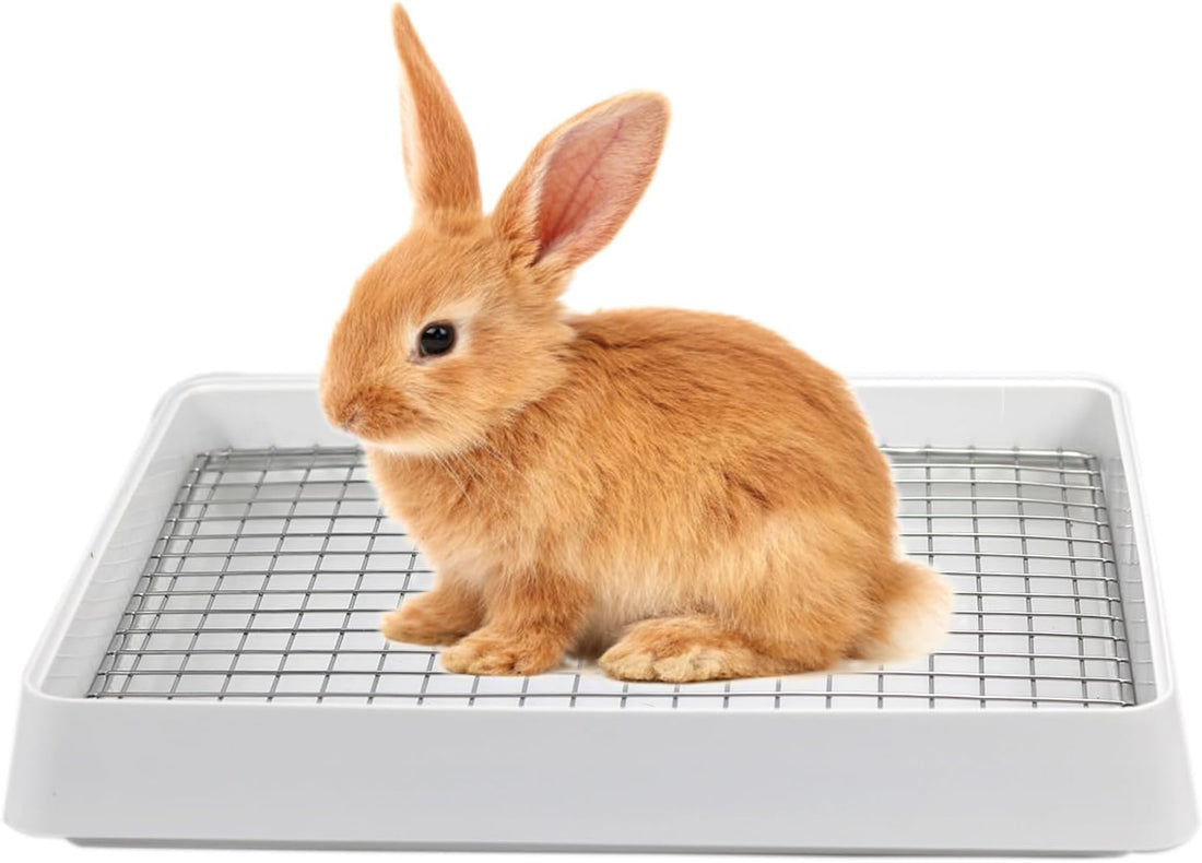 PODOO Rabbit Litter Box – Training Potty Tray for Guinea Pig & Small