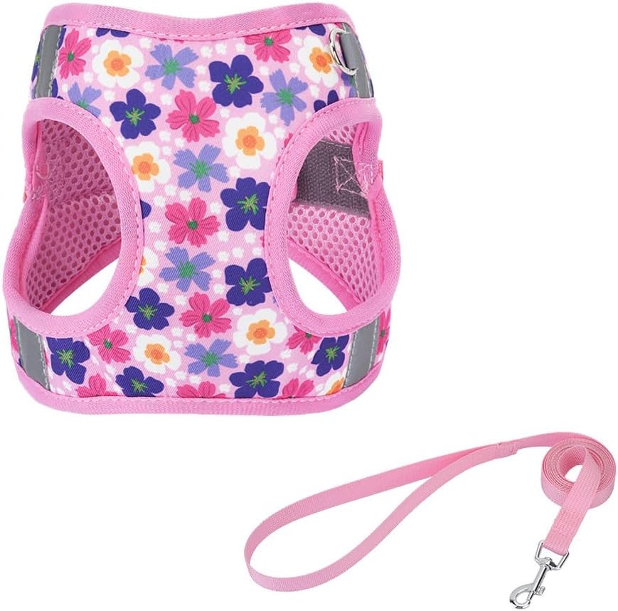 Step in Dog Harness and Leash Set, Pet Vest Harness