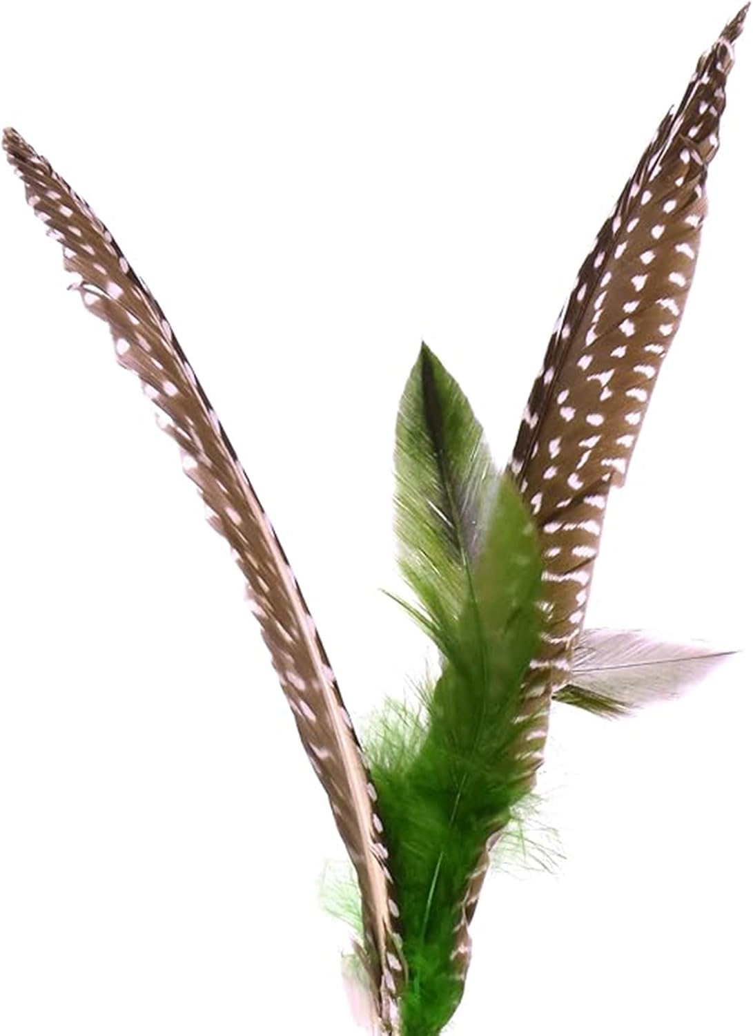 GoCat DaBird Feather Refill, Assorted Colors, Pack of 3