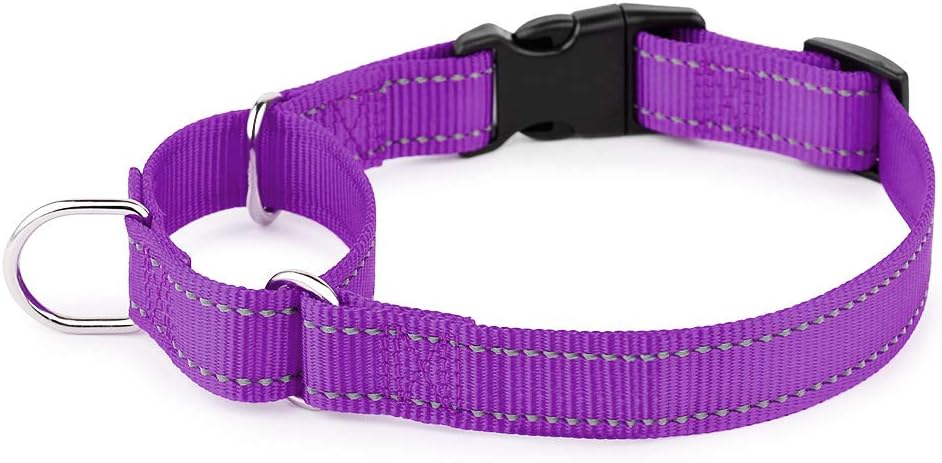 PLUTUS PET Reflective Martingale Collar with Quick Snap Buckle,No