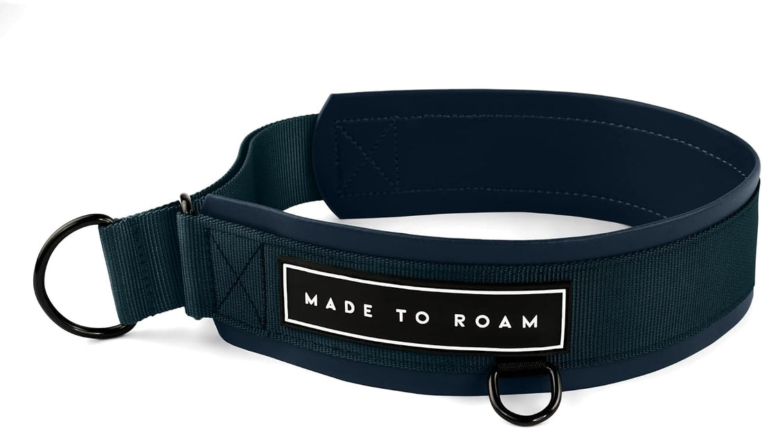 MADE TO ROAM Premium Everyday Dog Collar