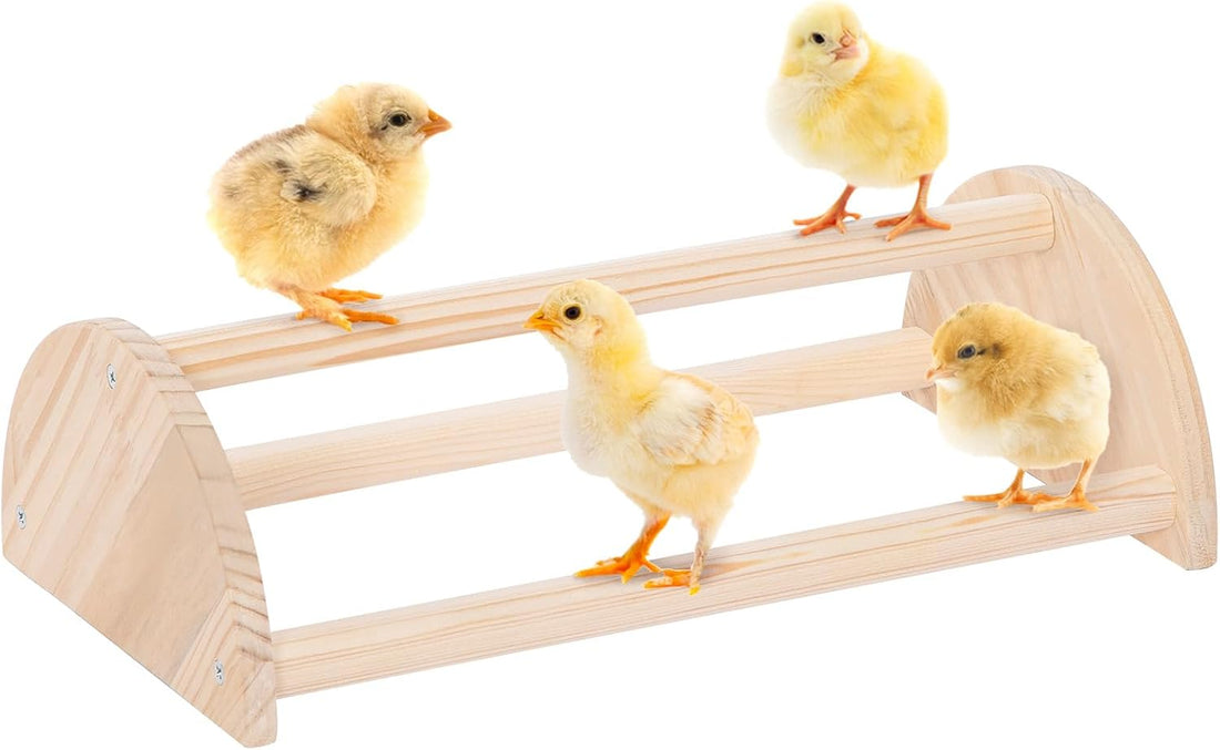 PETSFIT Baby Chick Roosting Bar, Anti-Rotation, Solid Wood