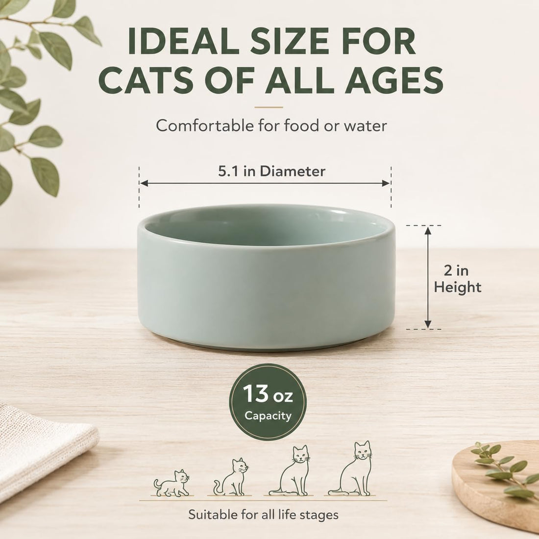 Havniva Cat Bowls Water Bowl Set of Two