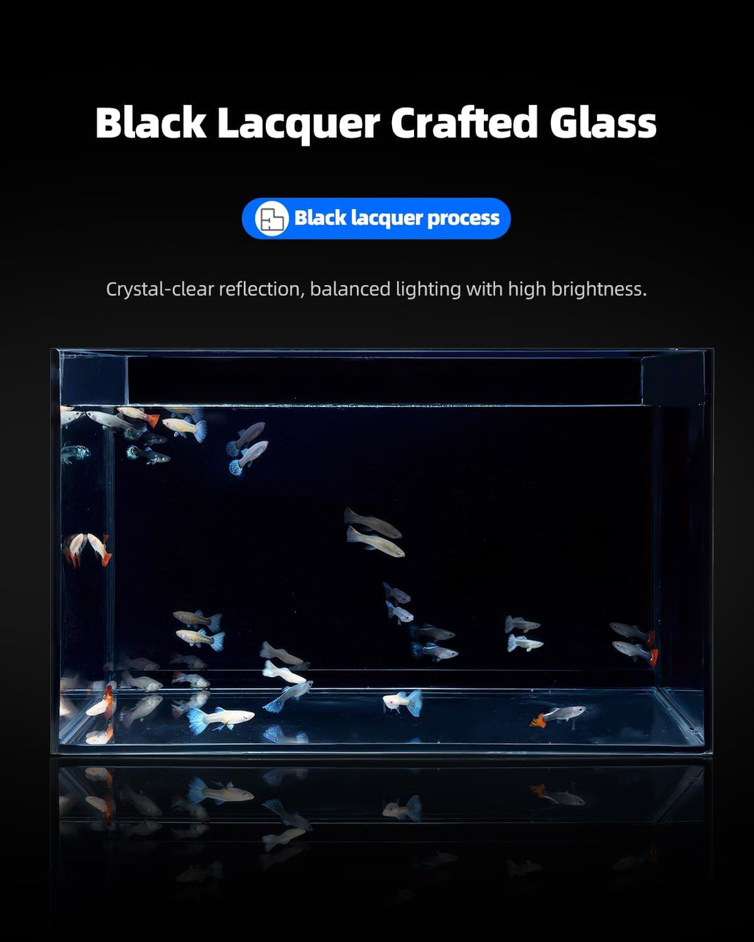 2.5 Gallon Nano Glass Fish Tank, Ultra-Clear Rimless Desktop Aquarium