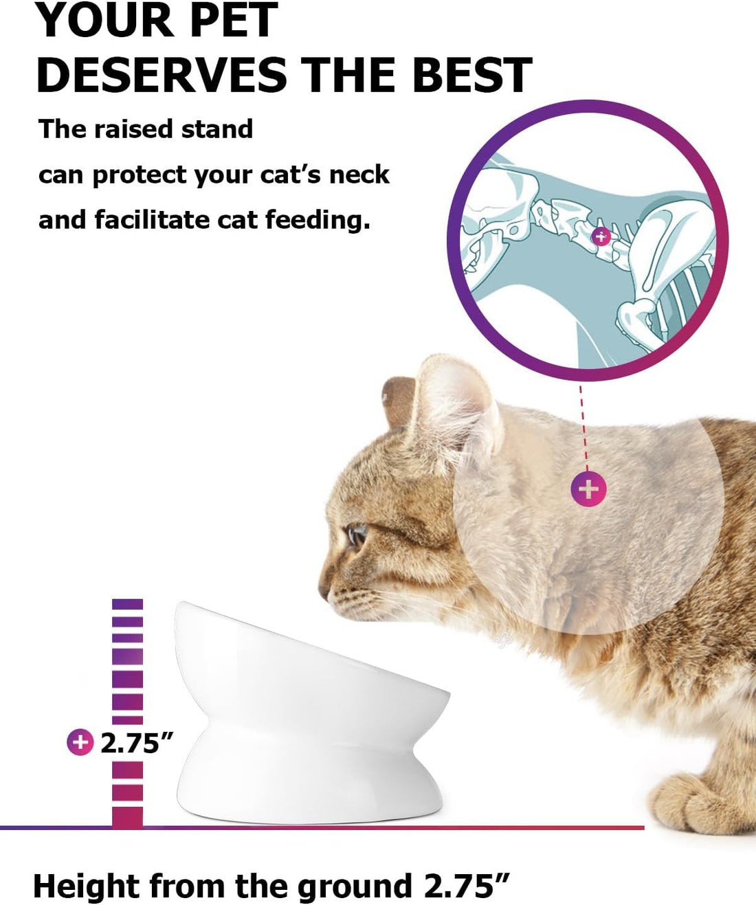 Y YHY Cat Bowl Anti Vomiting, Raised Food Bowls, Tilted Elevated Bowl