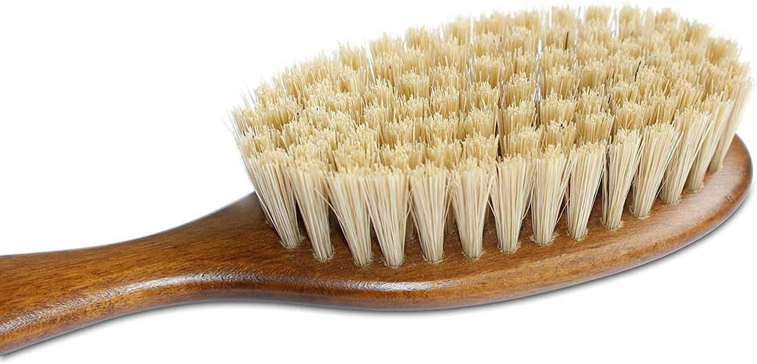 Mars Coat King Bristle Cat Hair Brush Deshedding Tool