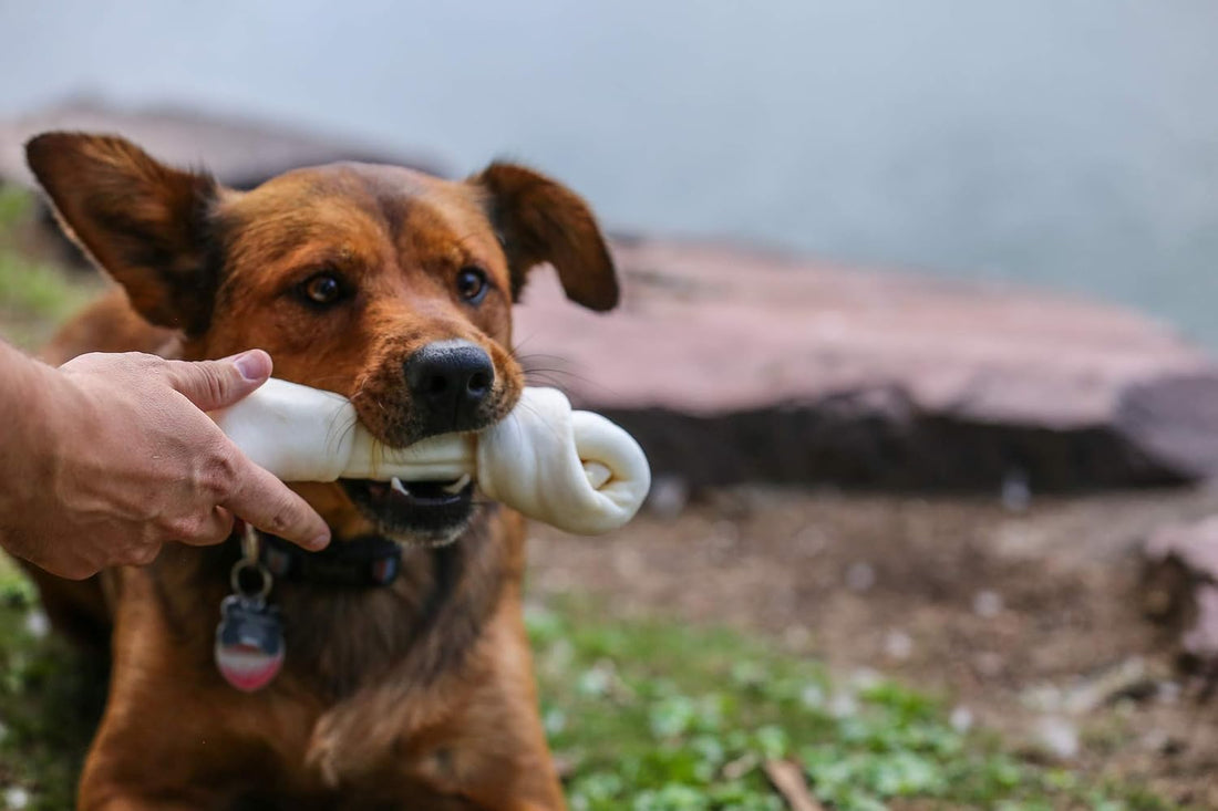 Top Dog Chews - Natural Beef Rawhide Bones