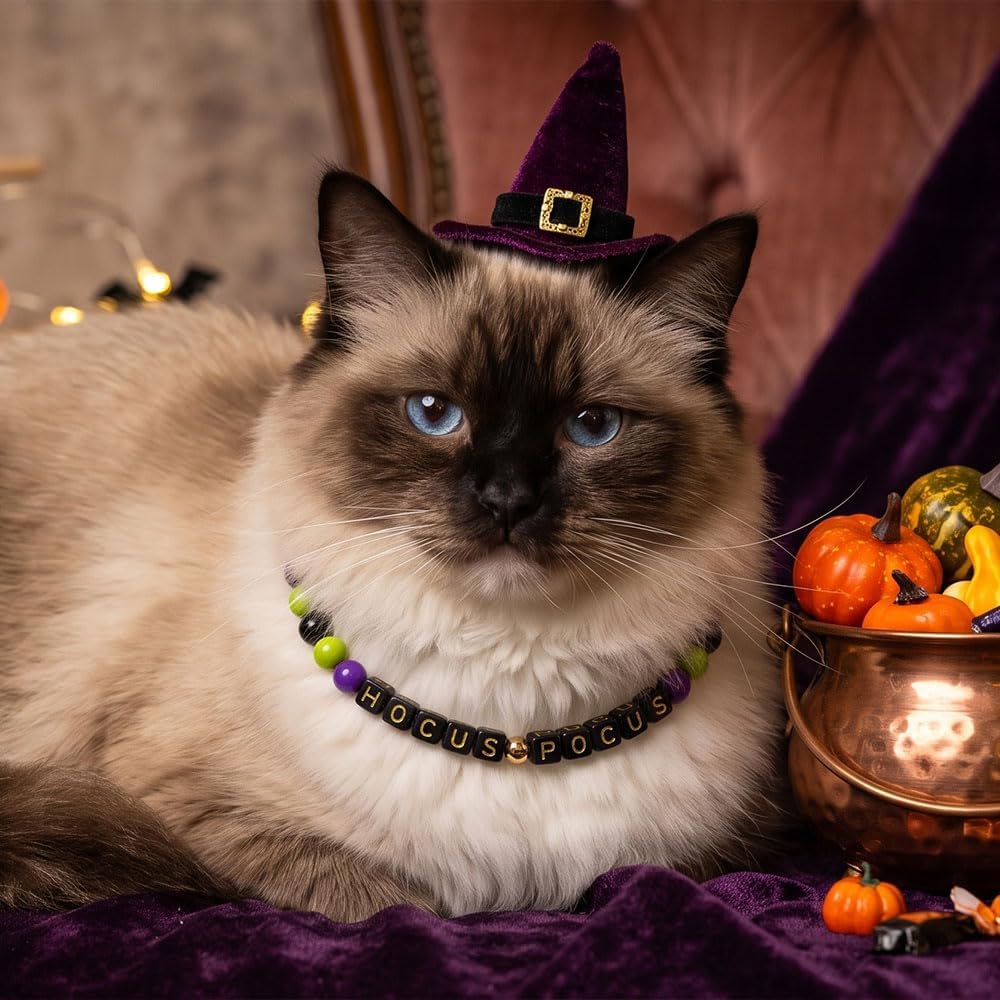 Halloween Beaded Pet Necklace Collar Dog Cat Holiday Costume Collar