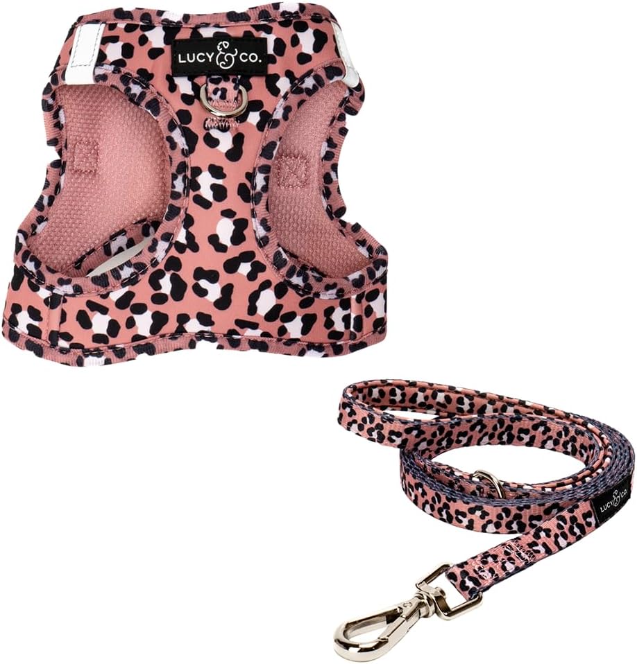 Lucy & Co. Simply Splendid Step-in Cat Harness & Leash Bundle