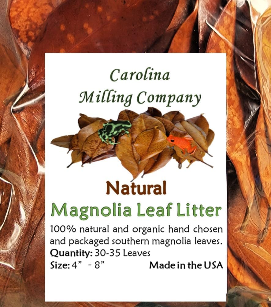 Magnolia Leaf Litter, 30-35 Leaves