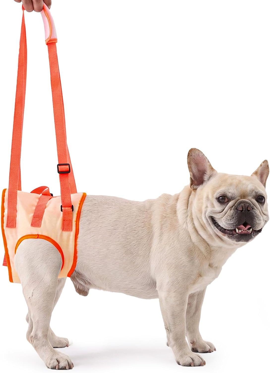 Allroaring Dog Lift Harness with Soft Pads, Orange, S