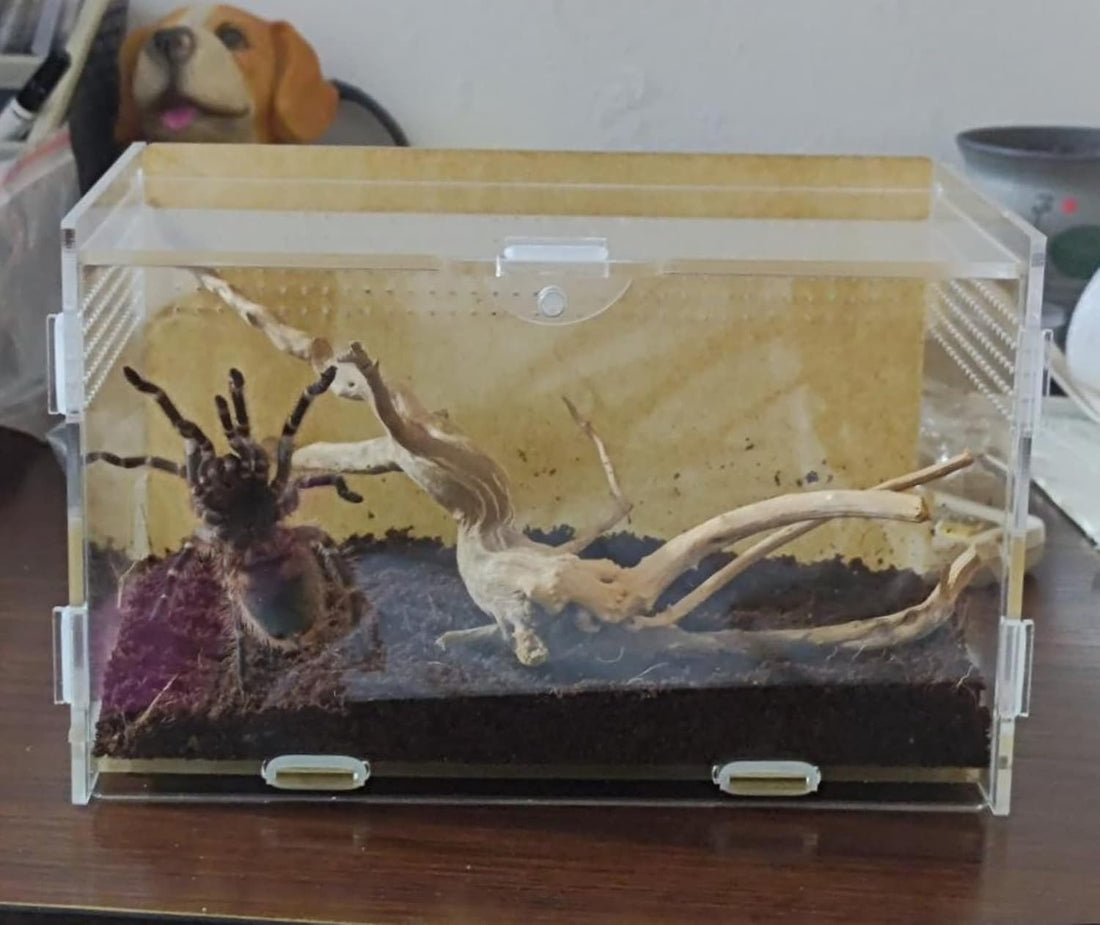 AWXZOM Magnetic Acrylic Case