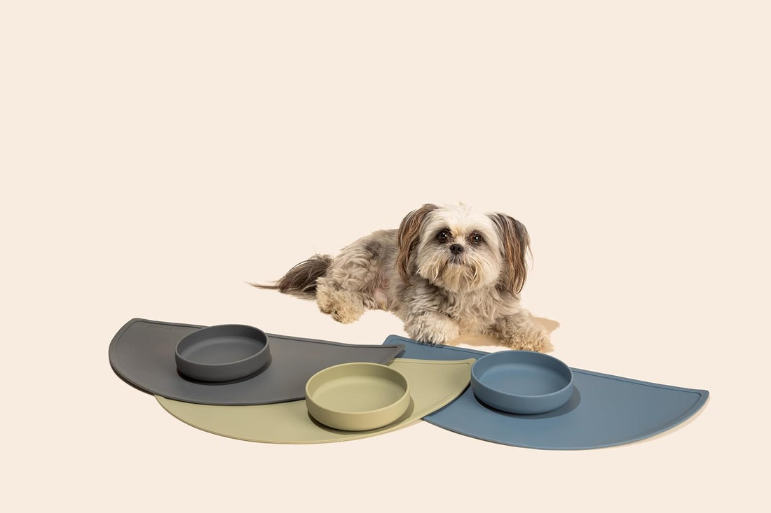 The Perfect Dish - Silicone Dog Bowl for Food & Water, 6" x 1.25"