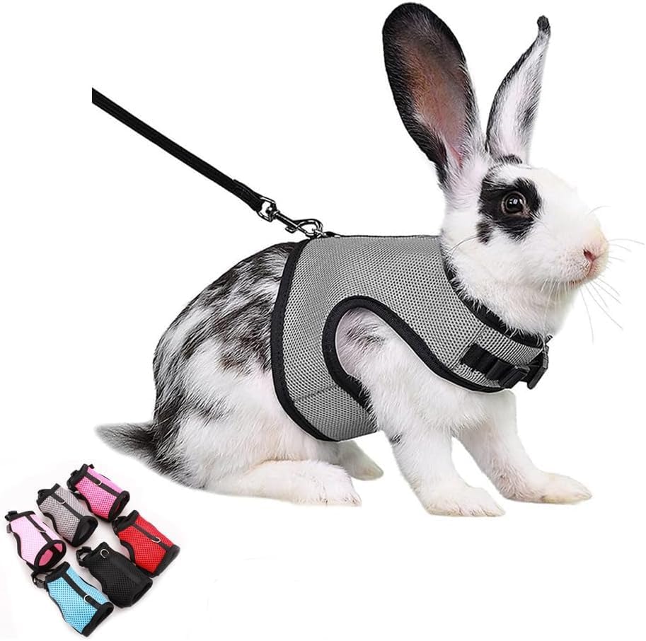 Escape Proof Rabbit Harness and Leash Set