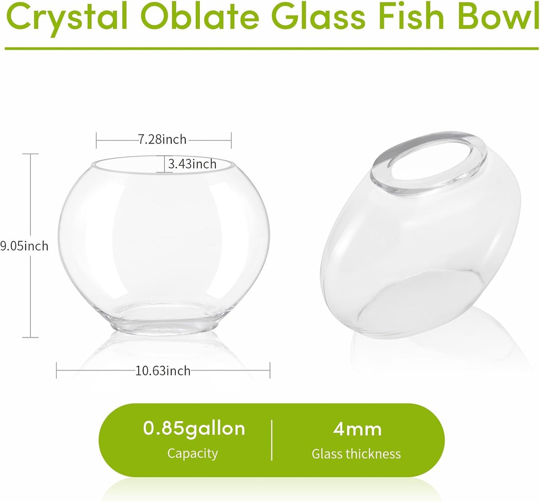 hygger Mini Glass Oblate Fish Bowl Kit