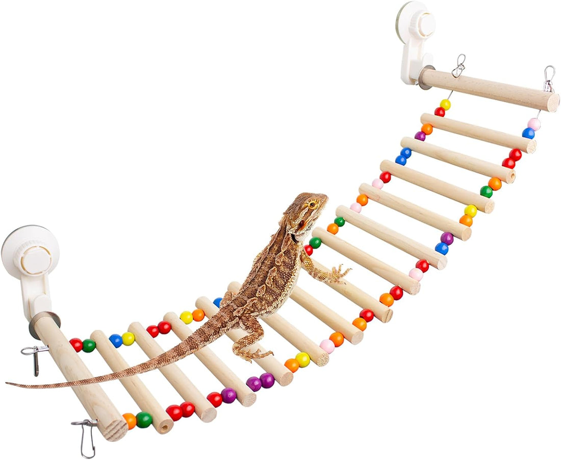 FlidRunest Bearded Dragon Window Ladder with 2 Sturdy Suction Cups