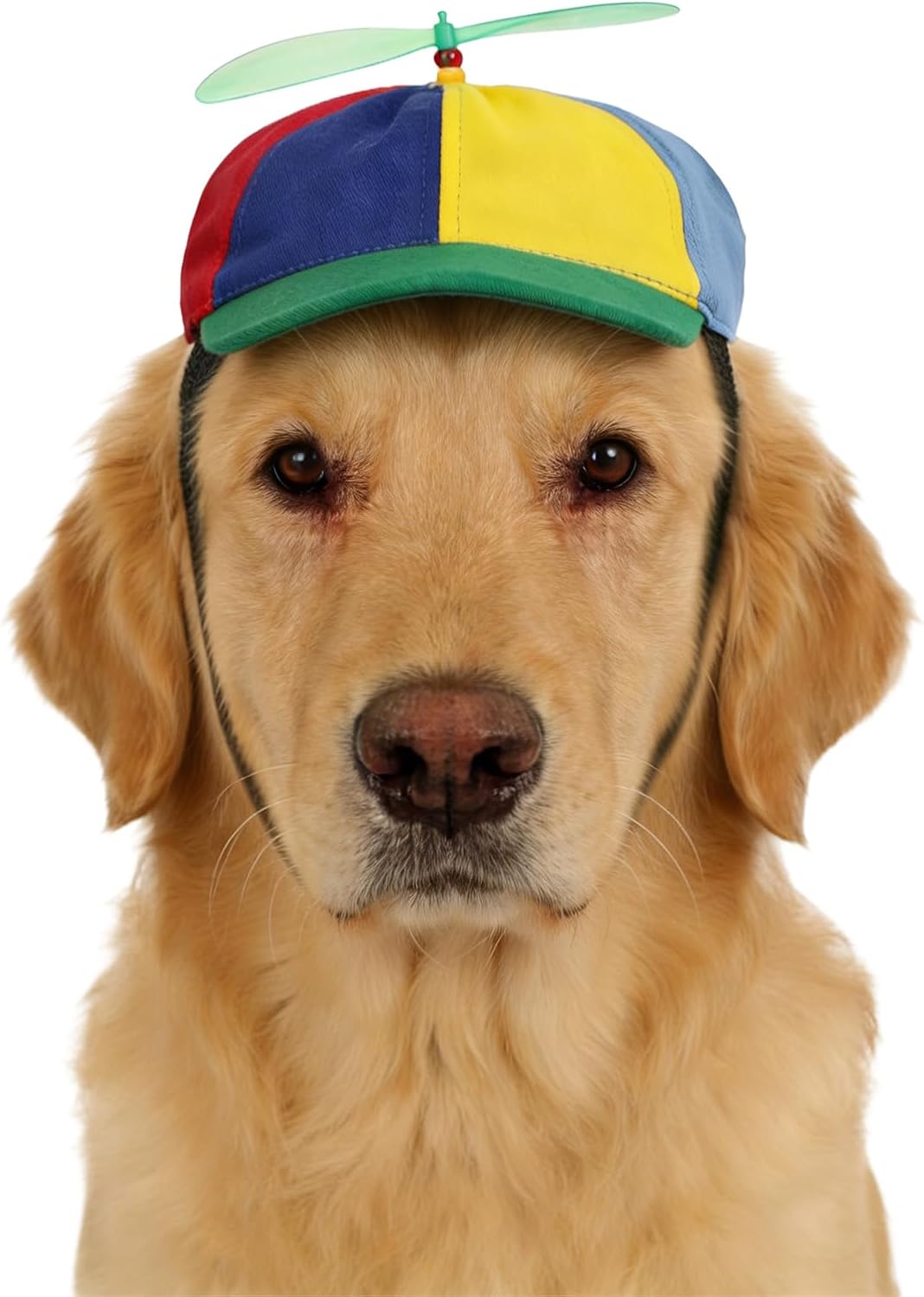 Propeller Baseball Cap for Big Dogs & Cats