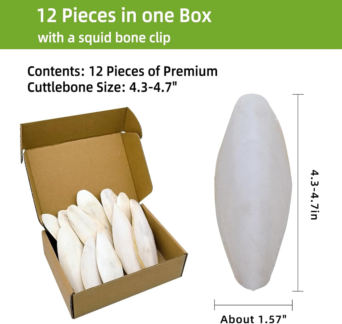 4.3"-4.7" Cuttlebone for Birds,Natural Cuttlefish Bone