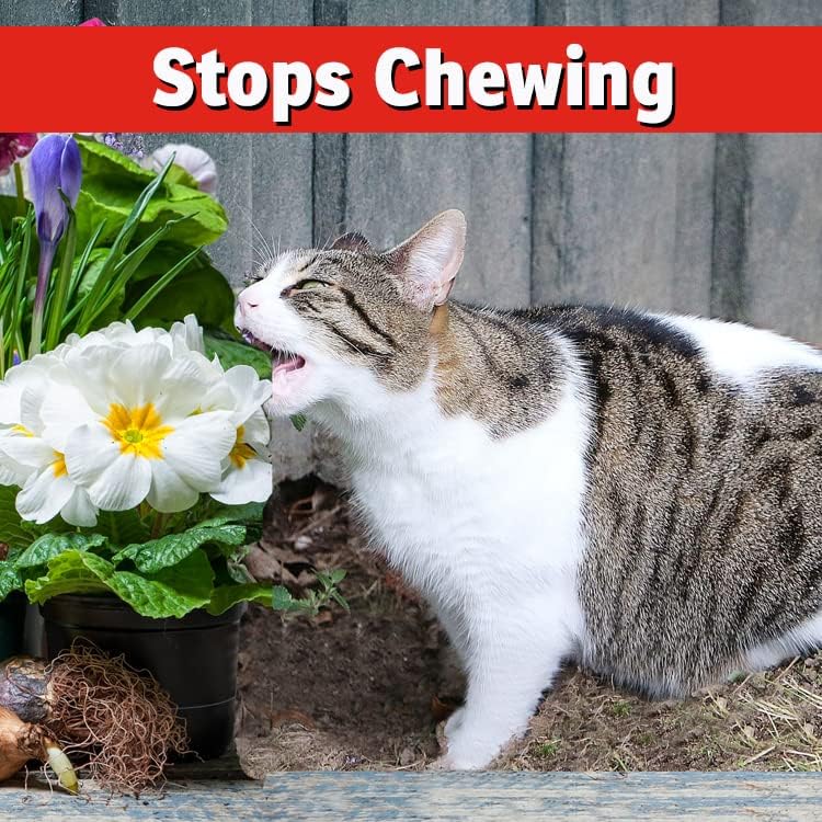 IMUSTGARDEN Dog & Cat Repellent: Stops Chewing, Natural, Pet Safe