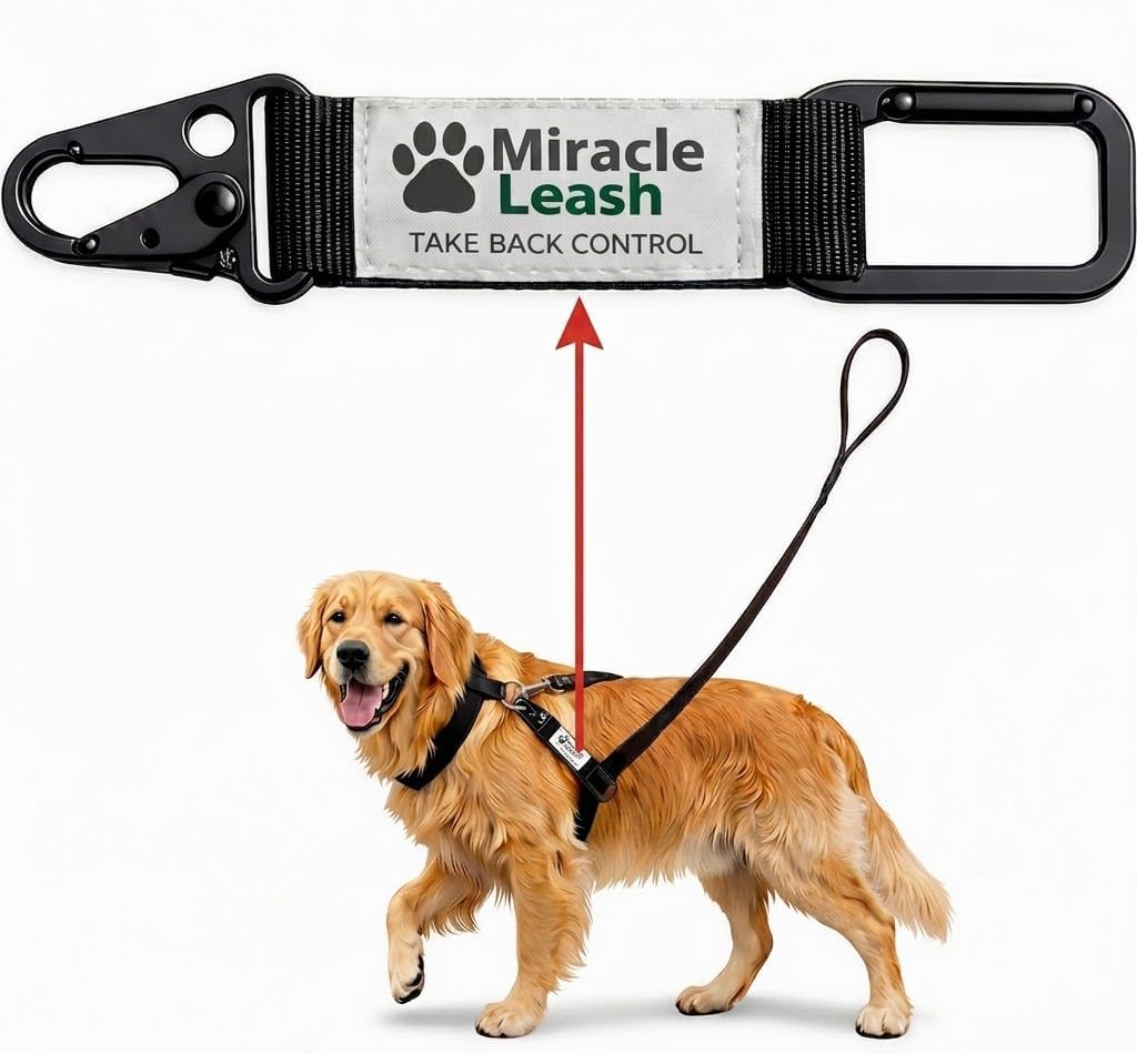 No Pull Dog Harness Alternative