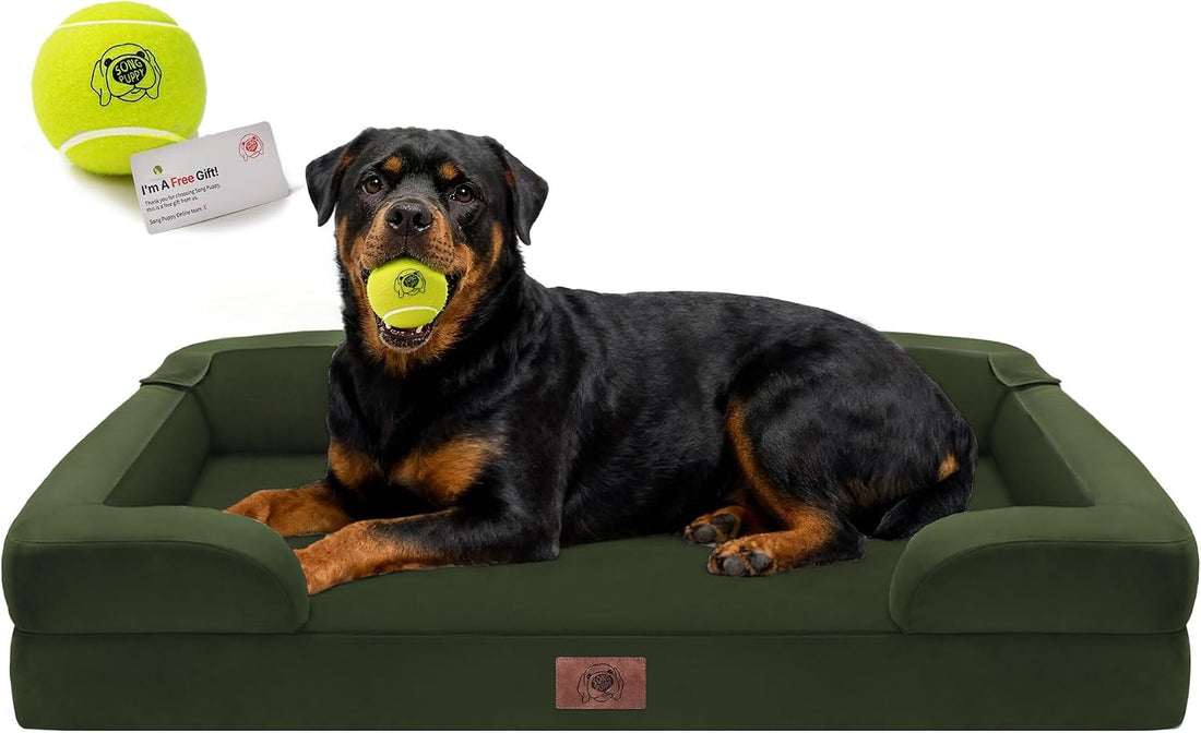 Waterproof Orthopedic Dog Bed for Medium Large Sized Dogs