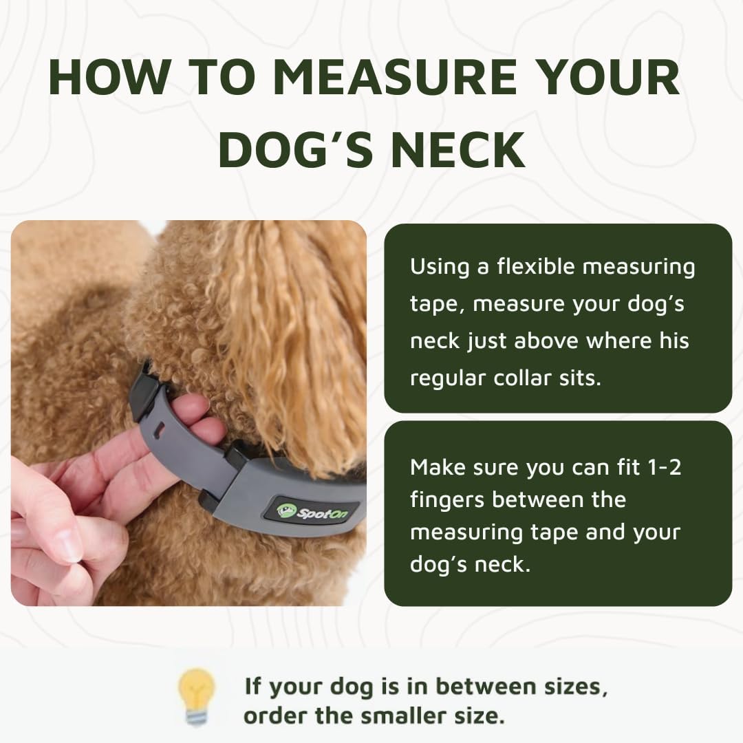 SpotOn Omni GPS Dog Fence Collar, Medium Dogs 12-18 Inch Neck