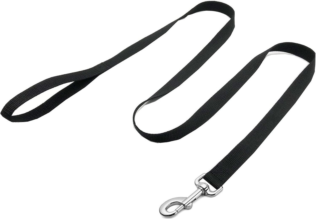 Strong Nylon Dog Leash, 5 FT Long Dog Leashes for Medium Large Dogs