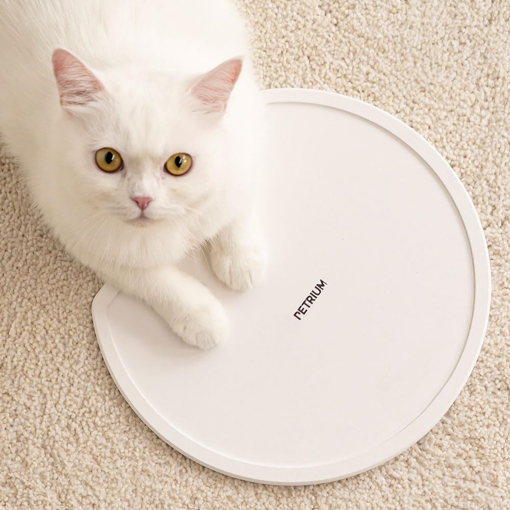 Stone Dry Mat for Pets, Absorbent Pet Feeding Mat for Food