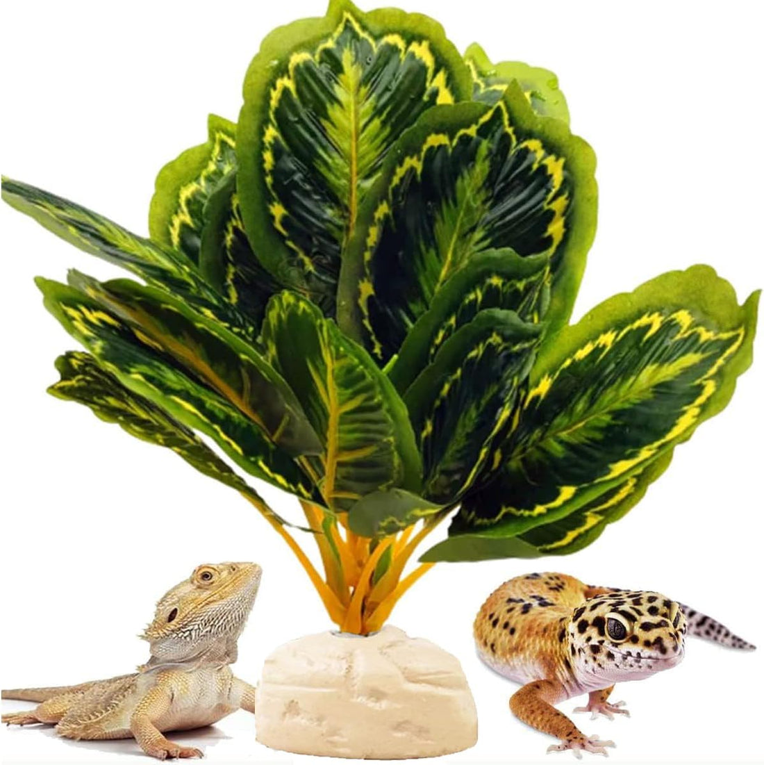 Reptile Plants for Terrarium Decor,Leopard Gecko Tank Plants