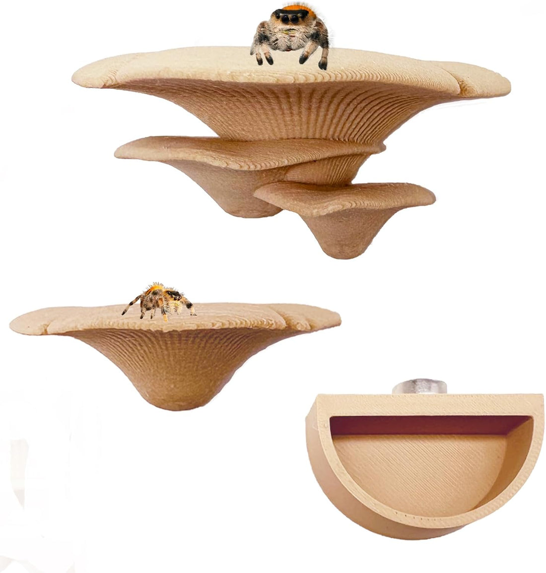 2 Pack Jumping Spider Accessories Mushroom Ledges & 1 Pack Water Bowl