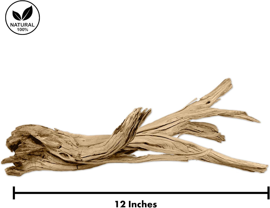 Koyal Wholesale 12” Driftwood Terrarium Decor