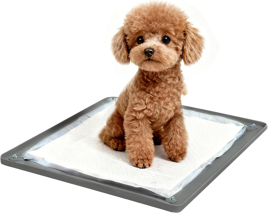 Dog Pee Pad Holder, Silicone Tray, 4-Corner Fixing, 35x25 inch