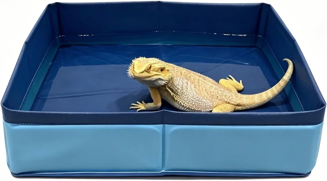 Collapsible Reptile Bathtub Pool Foldable Pet Pool