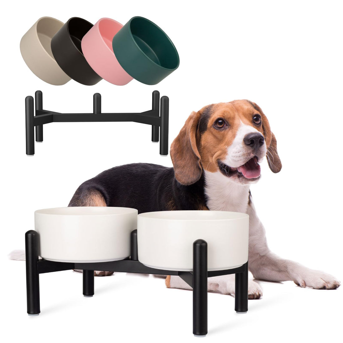 Raised Ceramic Dog Bowl Set - Elevated Double Dishes with Stainless